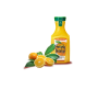 Silicon Orange Juice